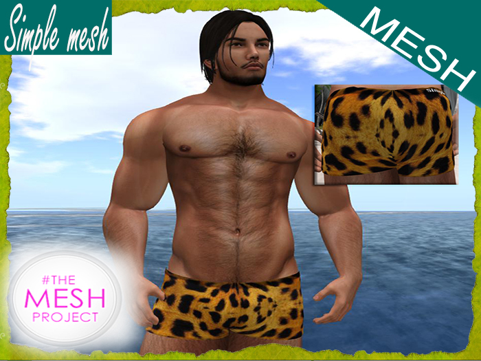 SM Leopard Shorts TMP