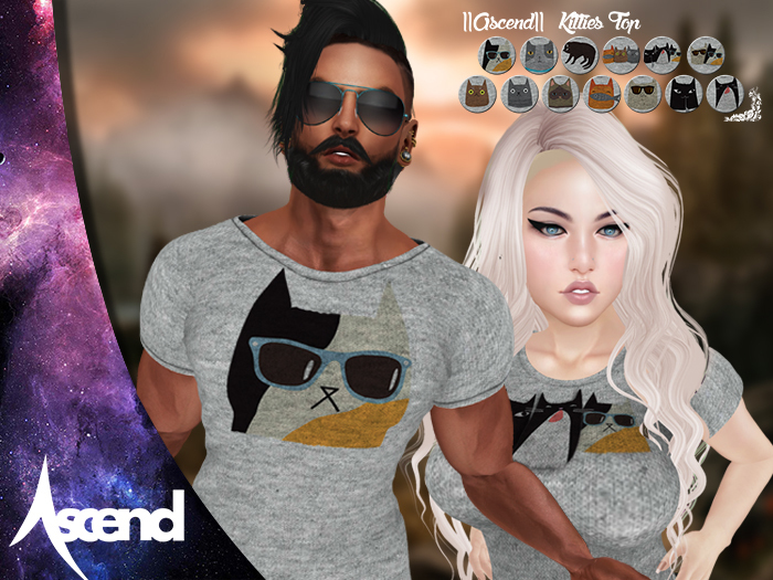 [[Ascend]] Kitties Top - Male - Box  Add