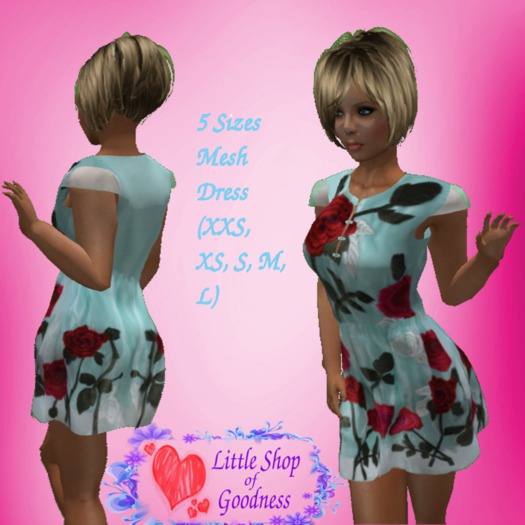 Light Blue Mini Dress With Red Roses Mesh