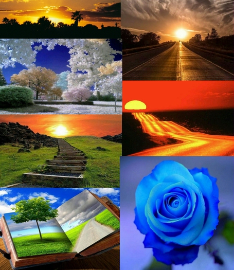 XXL Mega Picture Photo Pack - 180 Pictures / Texturen  !!!!