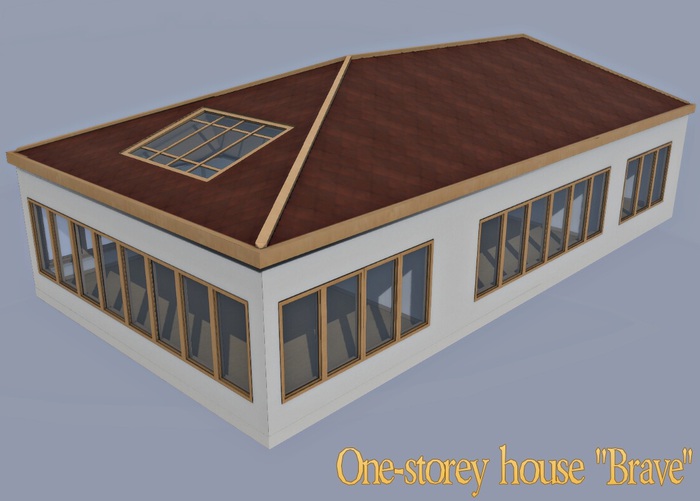  One-storey house "Brave"