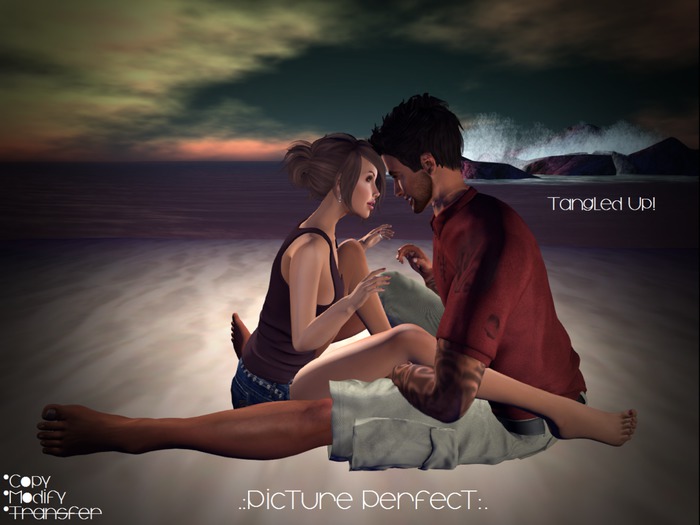 .:Picture Perfect:. Couples Pose - Tangled Up! (boxed)