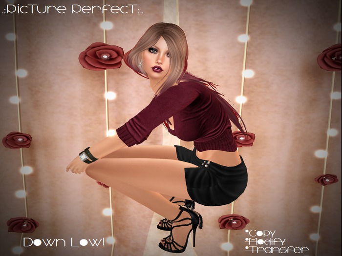 .:Picture Perfect:. Single Pose - Down Low! (boxed)
