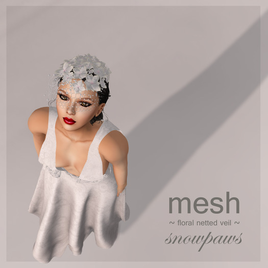 Snowpaws - Floral Netted Veil