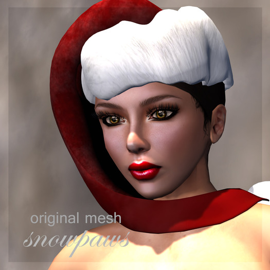 Snowpaws - Santa's Helper Hat