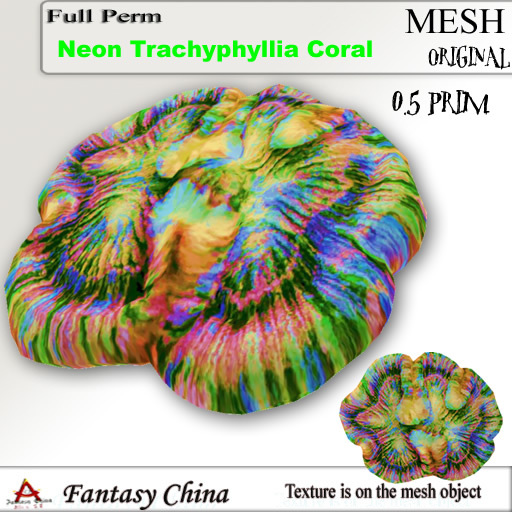 Full Perm Coral