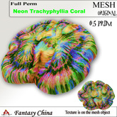 Full Perm Coral