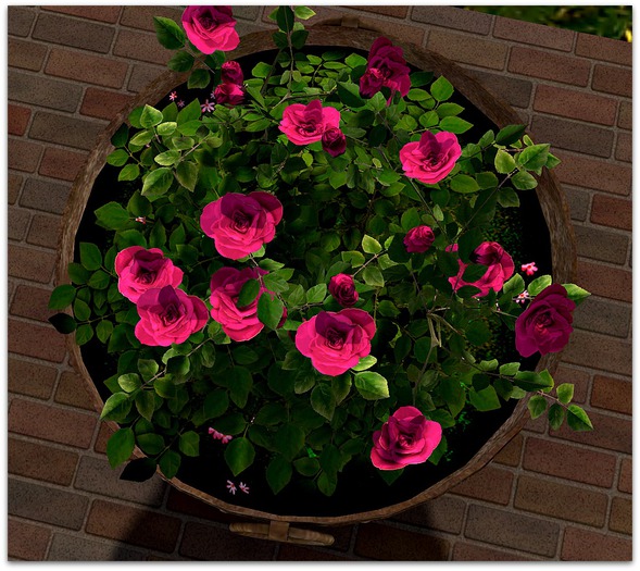 EVH_vase_roses pink_1