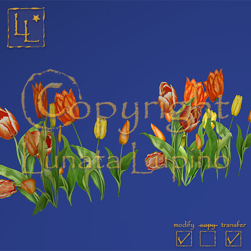 flowers - Tulip - Tulpe (Tulipa) Rabatte orange
