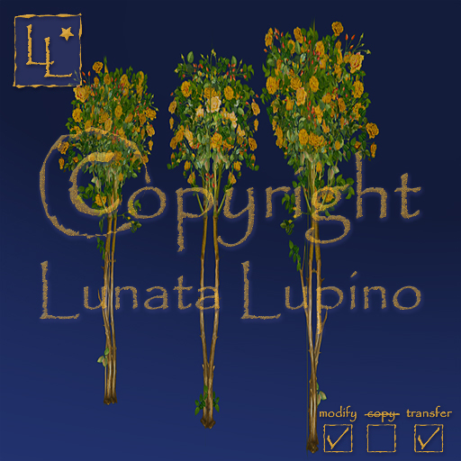 flowers - Rose (Rosa) 1x3 - Rabatte gelb