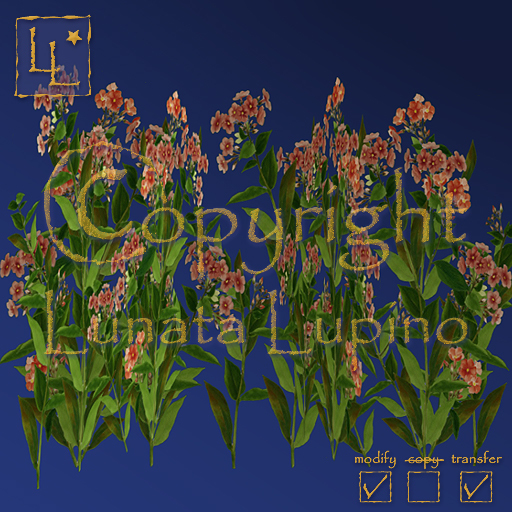 flowers - Flammenblume (Phlox) Rabatte - orange