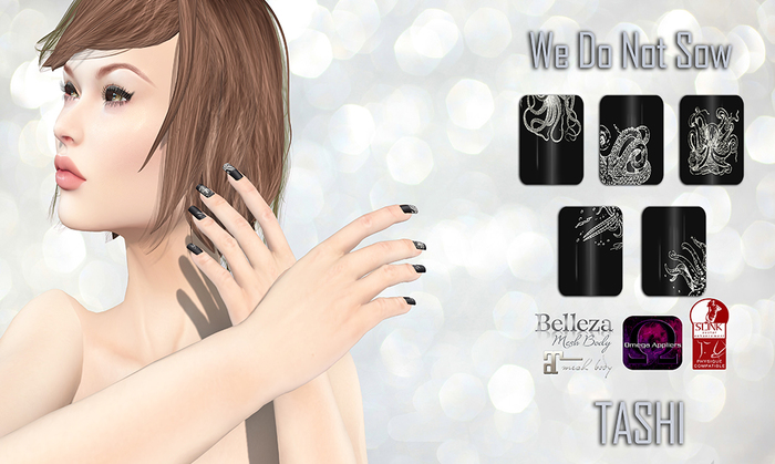 TASHI We Do Not Sow
