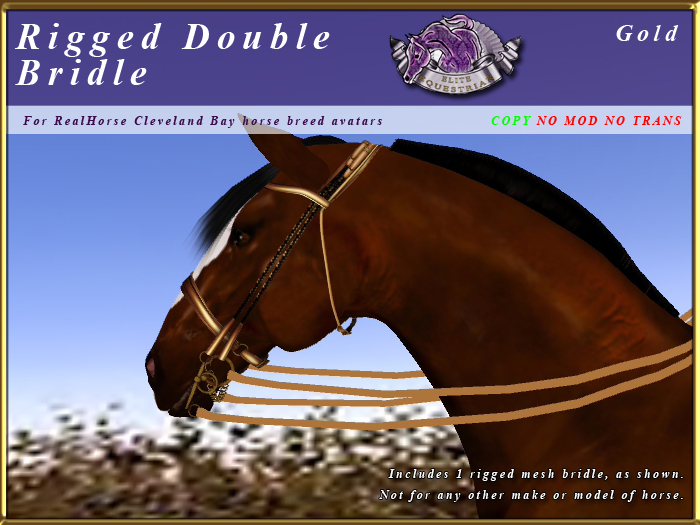 *E* Rigged Double Bridle  [BOXED] RHCB Gold