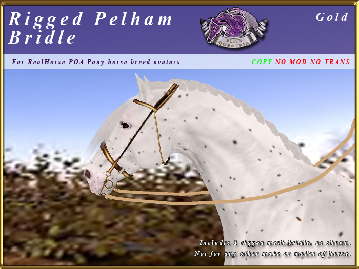 *E* Rigged Pelham Bridle  [BOXED] RHPOA Pony Gold