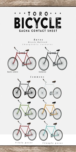 Toro. Racer Bicycle {Teal}