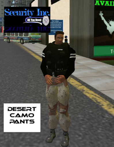 Desert Camo Pants