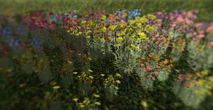 *Shabby* Sunny Cosmos