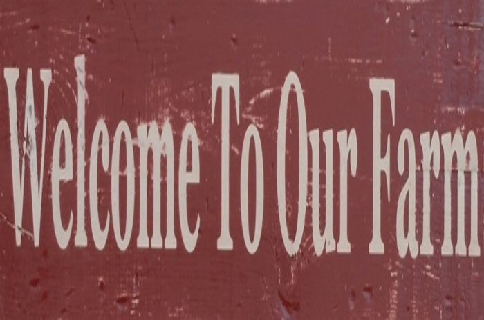 Welcome To Our Farm (wooden) Sign