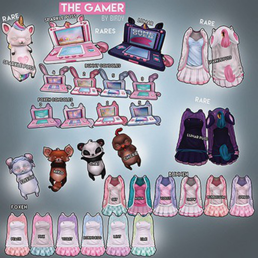 Birdy - The Gamer - Console - Foxy - 2 [box]