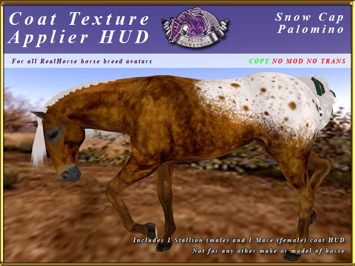 *E* RealHorse Coat Texture HUD [BOXED]  Snow Cap Palomino