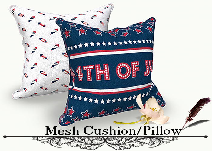 Cushion Pillow