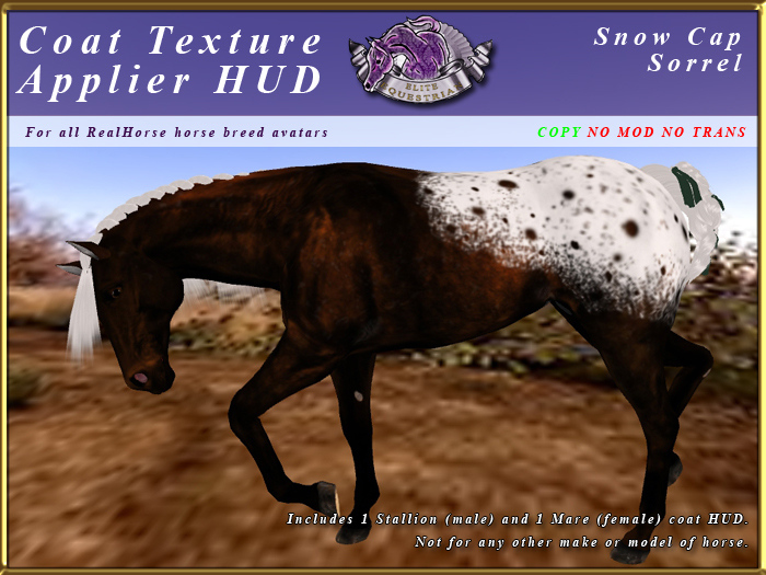 *E* RealHorse Coat Texture HUD [BOXED]  Snow Cap Sorrel
