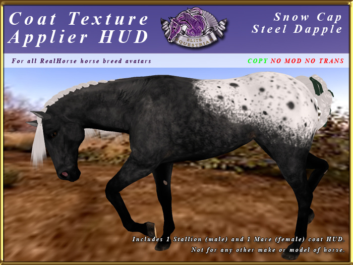 *E* RealHorse Coat Texture HUD [BOXED]  Snow Cap Steel Dapple