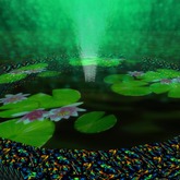 water fountain /with Lilly pads& 22 BIRDS/other Sounds MP 2017