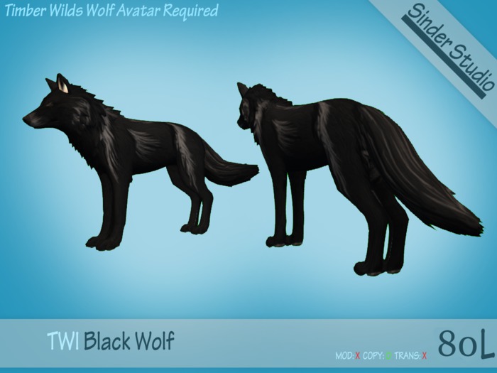 Black Wolf