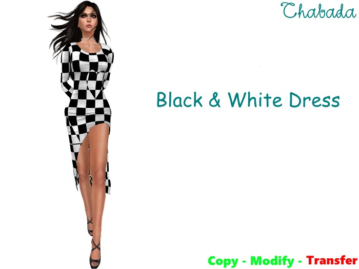 Chabada - Black & White fitmesh dress