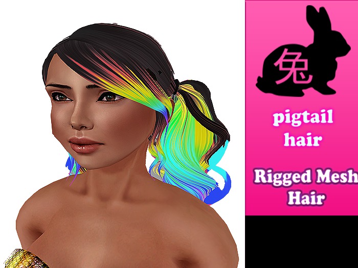 pigtail hair Rainbow