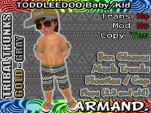 --ARMAND-- TRIBAL TRUNKS - GOLD-GRAY