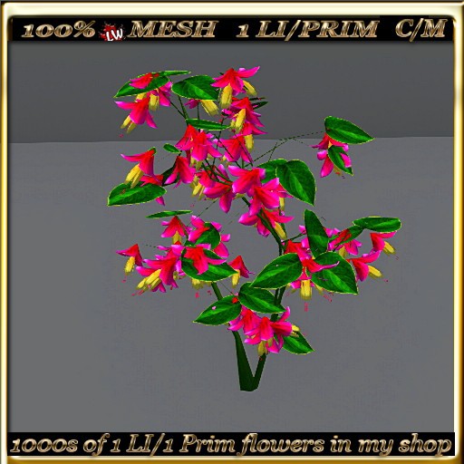 LW_ Swingtime Flower Bush - 1