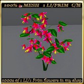 LW_ Swingtime Flower Bush - 1