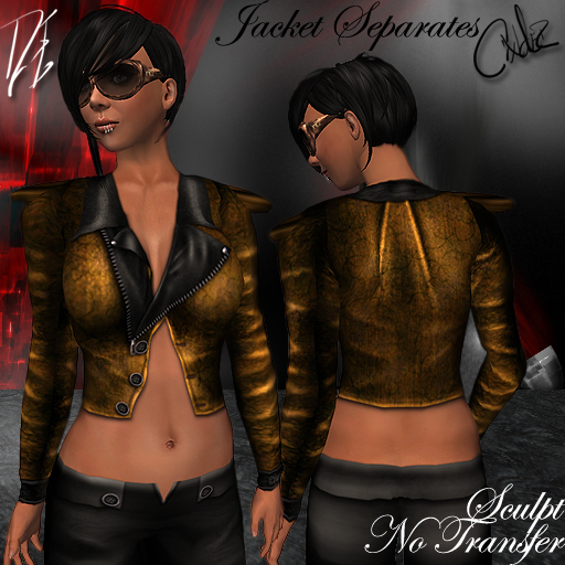 *DE Designs* Cinder Jacket - Medallion