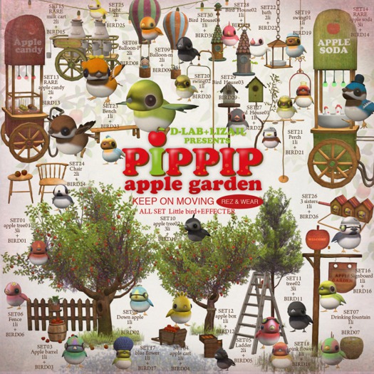 D-LAB+LIZAIL PIPPIP SET 30