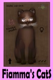 KittyCatS Box - Abyssinian - Dark Chocolate