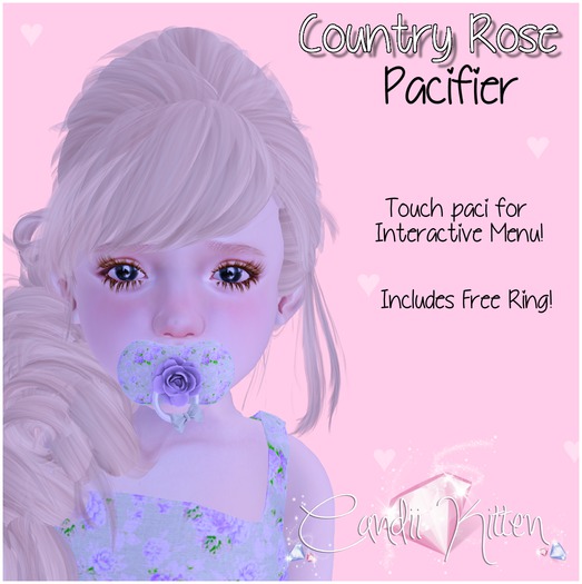 Candii Kitten - Country Rose Paci Purple