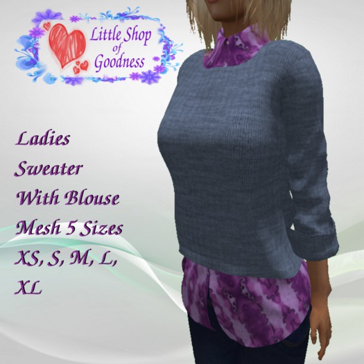 Ladies Gray Sweater With Purple Blouse Mesh