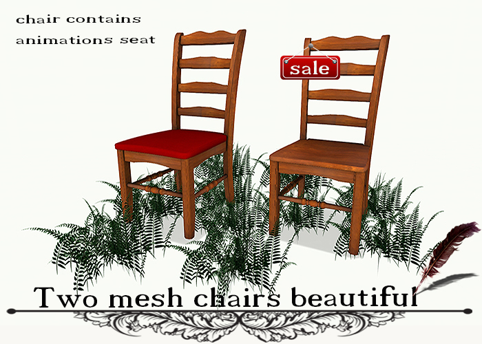 Two mesh chairs beautiful(copy and modify)CH 1