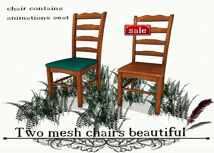 Two mesh chairs beautiful(copy and modify)CH 6