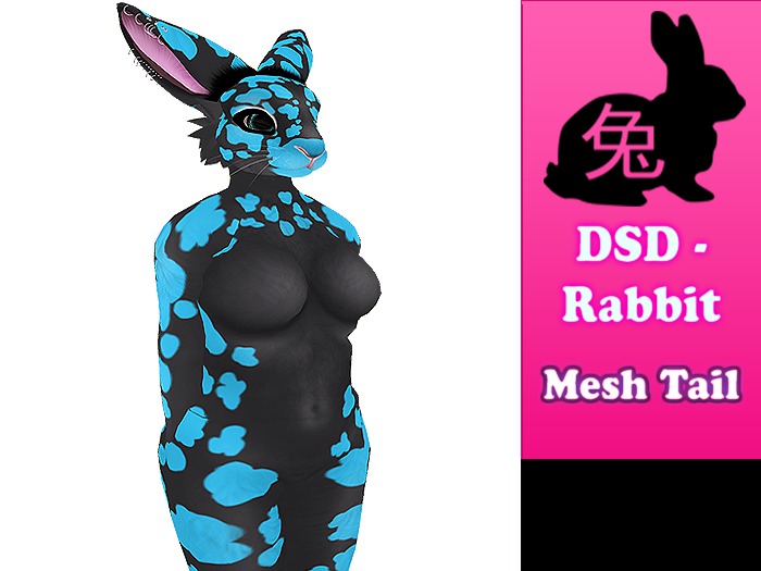 DSD Rabbit - mini rex Broken Black Blue