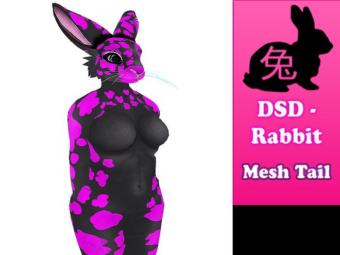 DSD Rabbit - mini rex Broken Black Pink