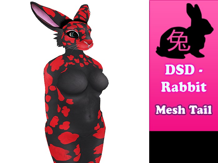DSD Rabbit - mini rex Broken Black Red