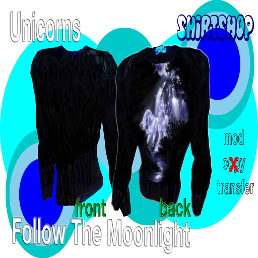 Unicorns - Follow the Moonlight