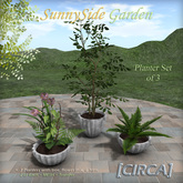 [CIRCA] - "SunnySide Garden" Planter Set of 3