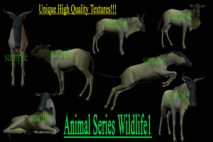 1 BOX Animal Series Wildlife1