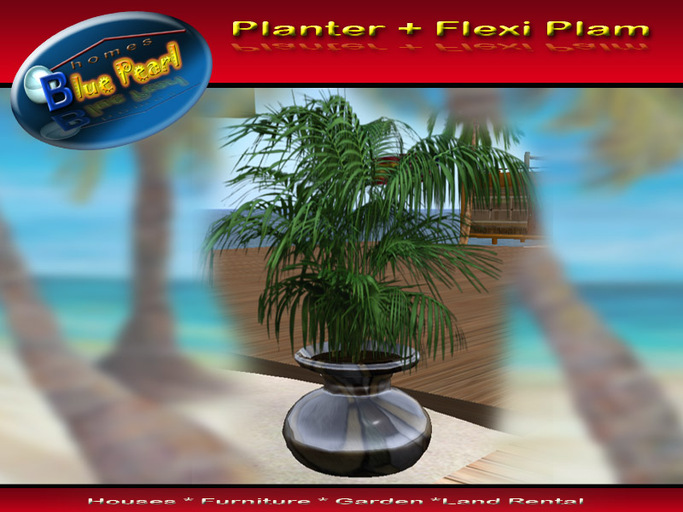 Wonderfull sculpted Planter with Flexi Palmtree