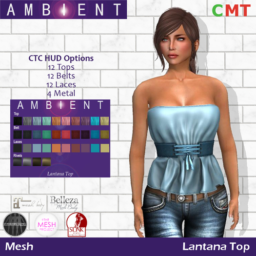 [AMBI] Mesh Lantana Top (BOXED)