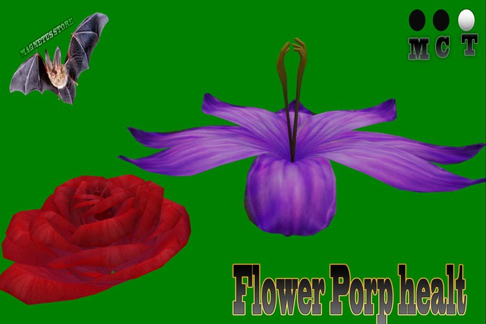 Flower Porp healt